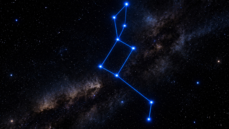 constellation Lacerta