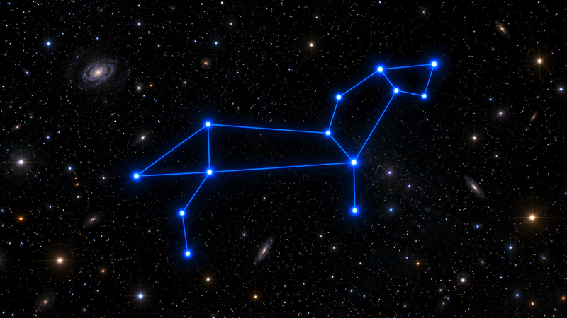 constellation Leo